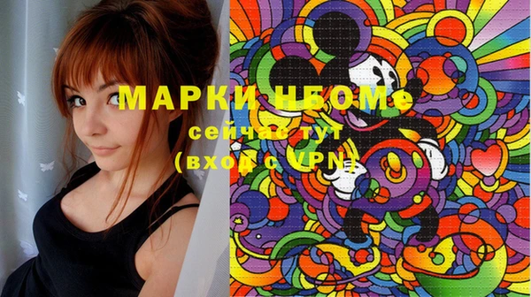 бошки Бронницы