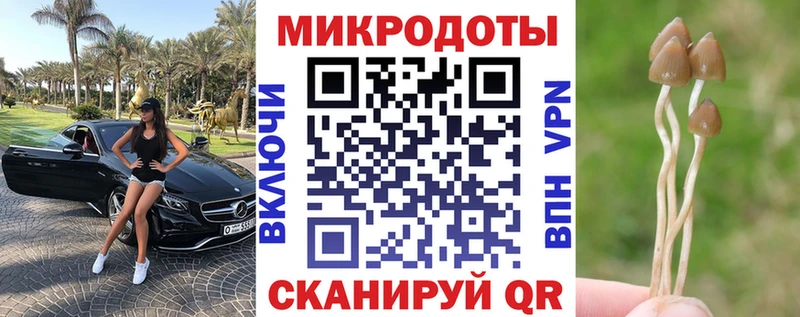 где продают наркотики  Горячий Ключ  Галлюциногенные грибы Magic Shrooms 